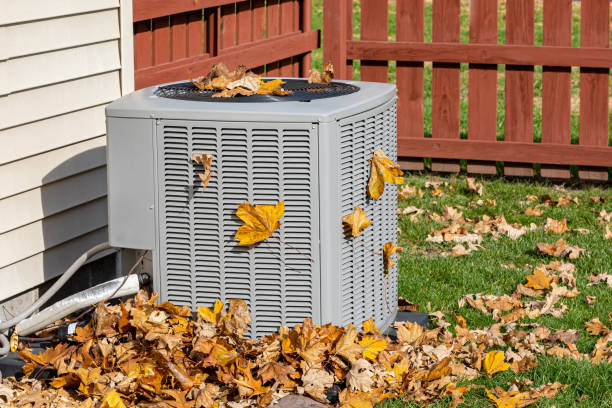 Best Local HVAC Companies  in Ferndale, CA